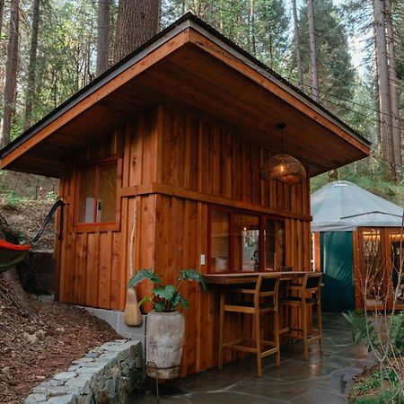 Hotel Magical Yurt In The Woods - 2 Miles From Town Nevada City Zewnętrze zdjęcie
