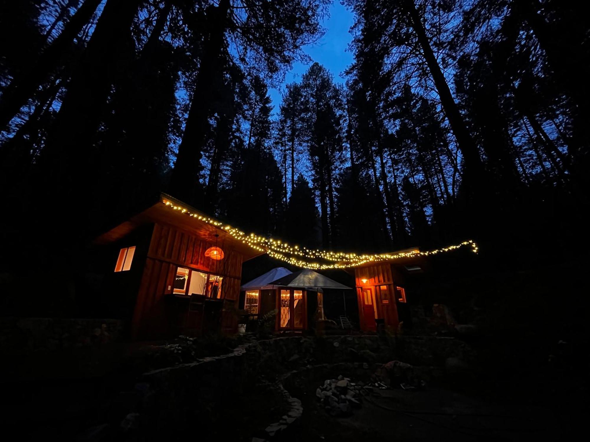 Hotel Magical Yurt In The Woods - 2 Miles From Town Nevada City Zewnętrze zdjęcie