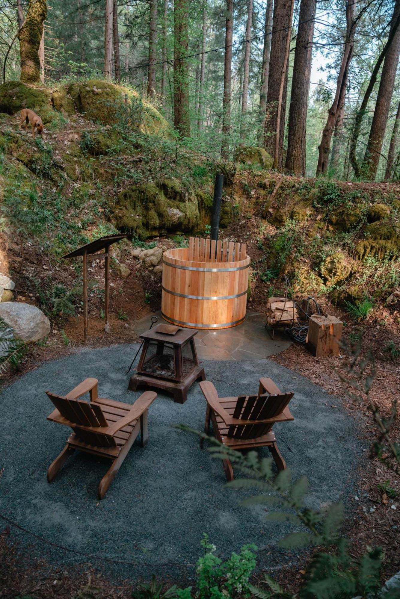 Hotel Magical Yurt In The Woods - 2 Miles From Town Nevada City Zewnętrze zdjęcie