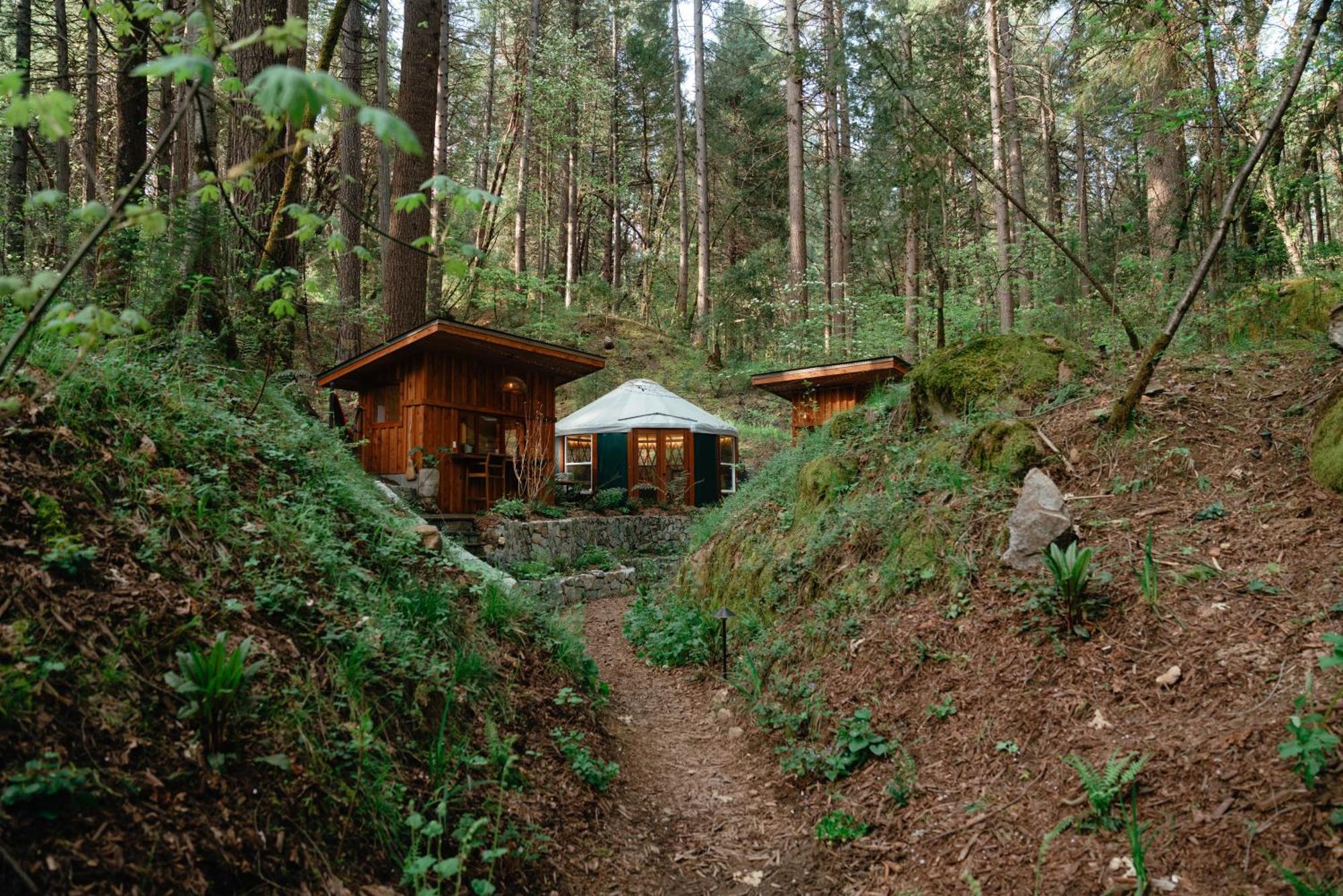 Hotel Magical Yurt In The Woods - 2 Miles From Town Nevada City Zewnętrze zdjęcie